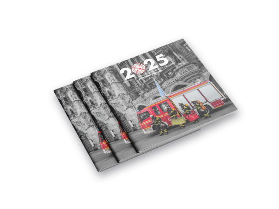 Bild zur Online Version im PDF Format